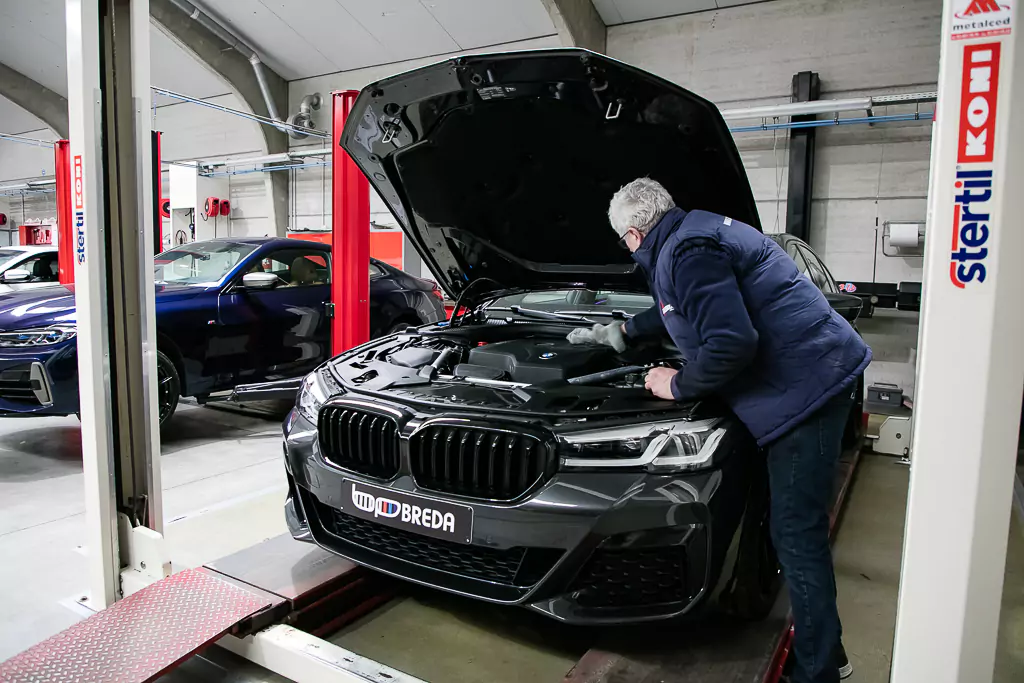 petit et grand etrentien chez Garage Breda